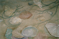 Mini Gallery Image 23