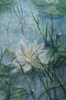 Mini Gallery Image 29